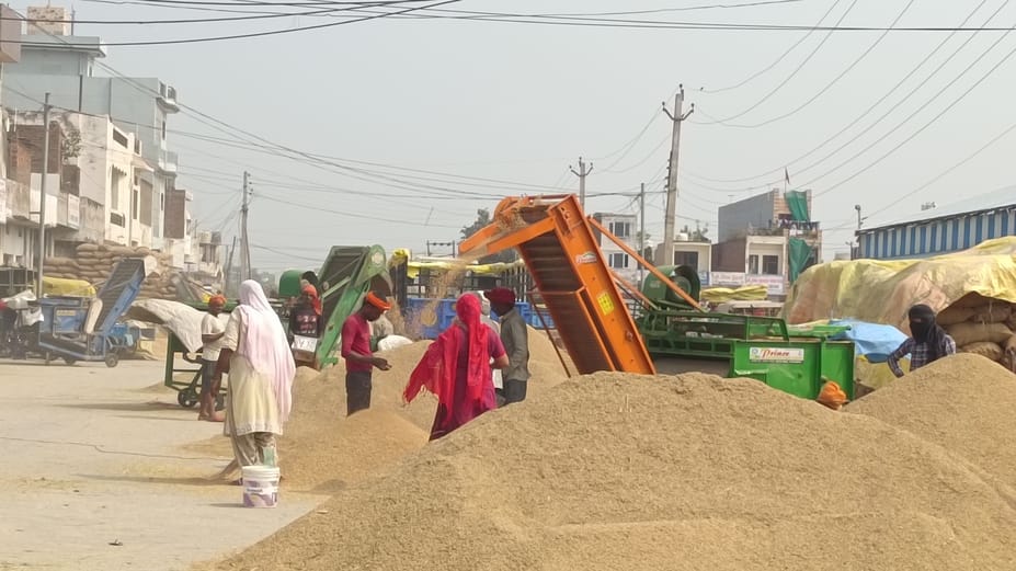 High arrival of paddy in the markets, low lifting
