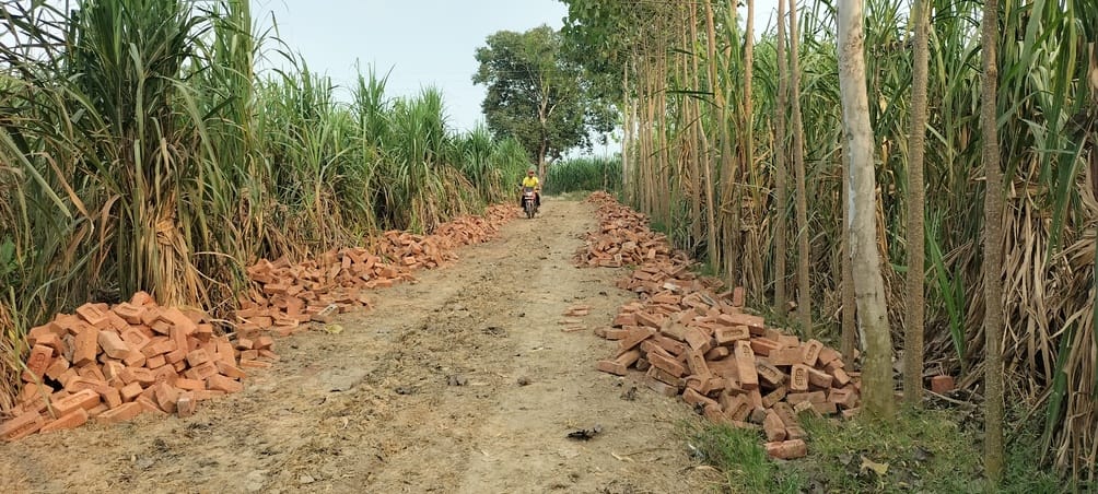The District Panchayat has cancelled the tender, yet the road is being laid.