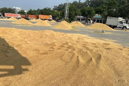 Government procurement of paddy did not take place in Jind Mandi even today.