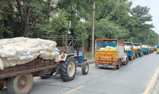 2686 tonnes of millet reached the market