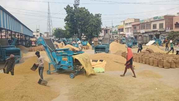 Delays in lifting have stalled payments to 1,417 farmers