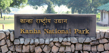Mandla News: Mysterious death of tiger and two cubs in Kanha Tiger Reserve