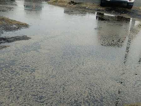 Chaos and negligence proved costly, two lakh quintals of paddy got soaked in rain at Thanesar grain market