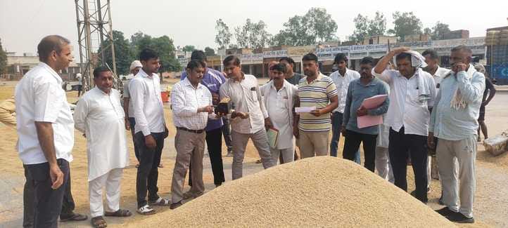 Government procurement started in the grain market