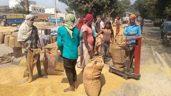 Slow lifting, rain soaked paddy in the markets