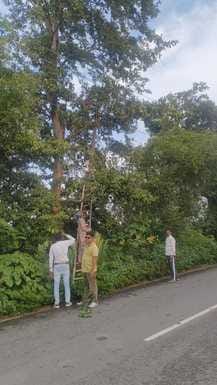 Wind and rain caused power outages in power lines in 150 villages.