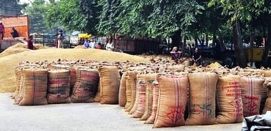Rains put a brake on government procurement of paddy, preparations incomplete
