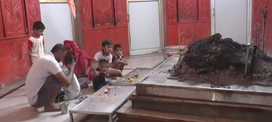 Fair held at Baba Ladana Dera, prosperity of livestock sought