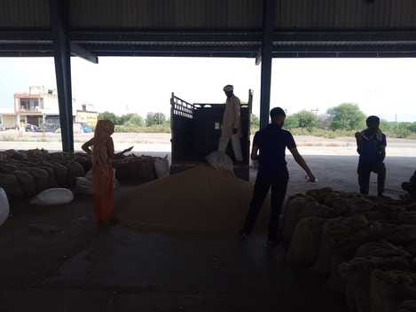 Farmers forced to sell millet below the minimum support price