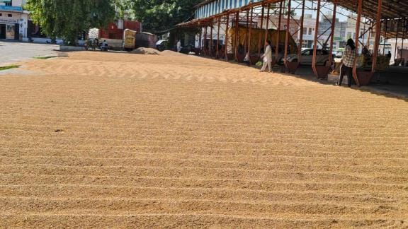 Moisture and contract issues hindered paddy procurement, PR paddy purchase remained halted for the third day