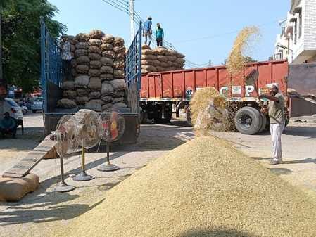 More than 1.32 lakh MT of paddy purchased so far