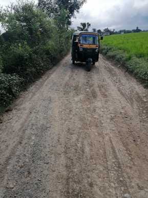 Puraina Mansoor-Gangauli road is dilapidated, potholes everywhere