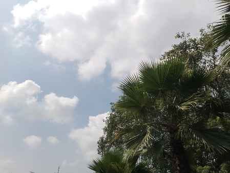 Humidity increases due to change in weather, chances of rain on Monday