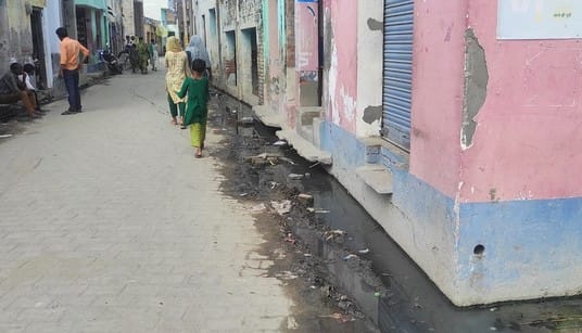 Four malaria and 12 typhoid patients were found in Bhirawati.