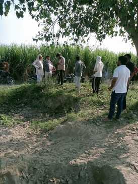 Inspection of crops grown on 587 acres of disputed land