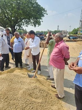 147 MT PR paddy sold for the first time in Sonipat grain market