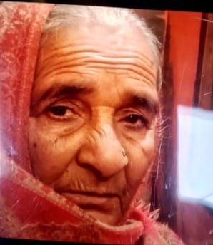 Fifth death due to fever in Shahpur, 75 year old woman dies