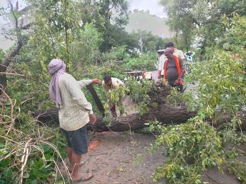Electricity poles and trees fell during 20 hours of rain, leaving 350 villages without power.