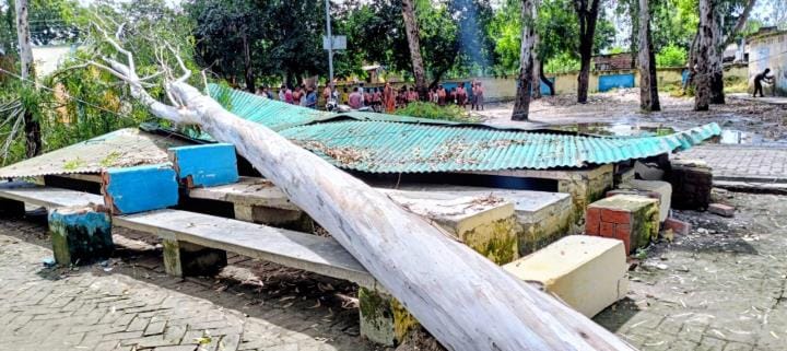 A tree fell on the canteen's tin shed in the school, an accident was averted.