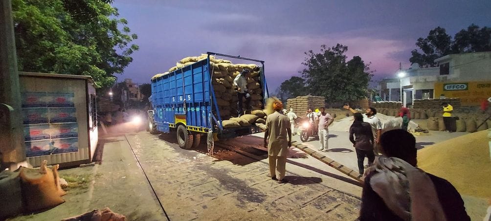After a light drizzle, the commission agents and farmers covered the paddy with tarpaulin.