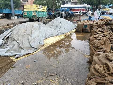 Farmers allege negligence