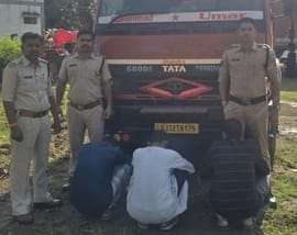 Mandsaur News: 39 quintals of illegal fish seized from container truck