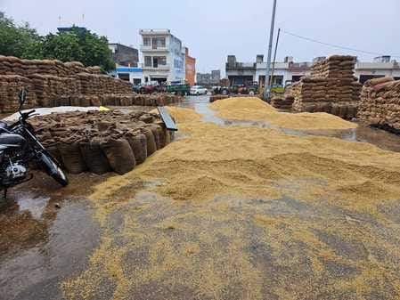 The hard work of farmers went waste in the market