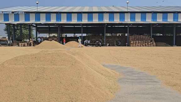 Arrival is fast, lifting is slow, paddy is piled up in the markets.