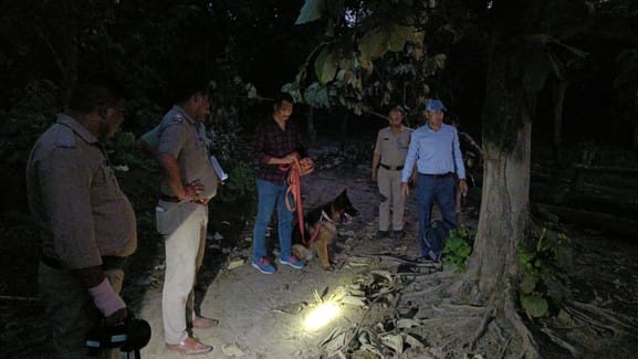 When the cow entered the field, its tail was cut off with a spade.