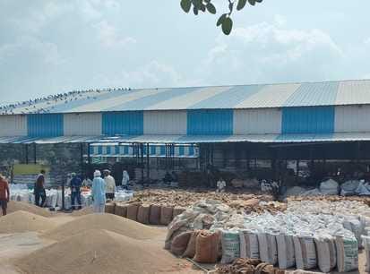 Farmers are worried due to non-procurement of millet by the government.
