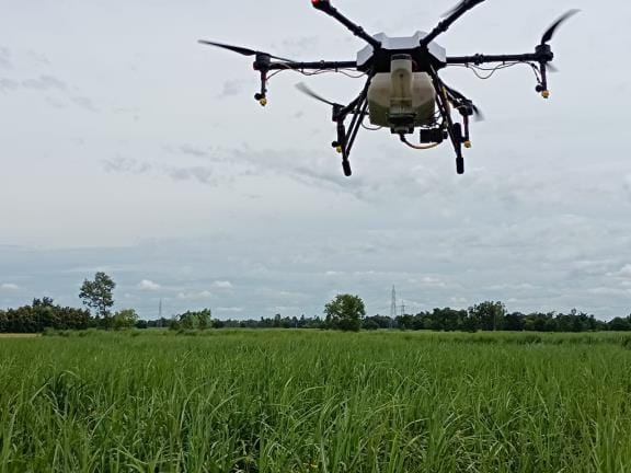 Drones are increasingly being used to spray pesticides in the Terai region.