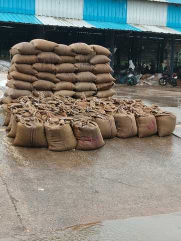 Sacks full of crops kept in the open in the market got wet