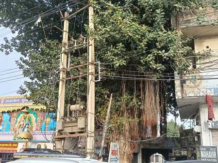 Banyan tree is a symbol of eternal good fortune, health and happiness and prosperity.