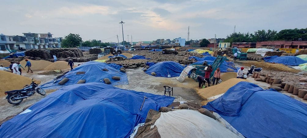 Thousands of quintals of paddy got wet in the market due to rain