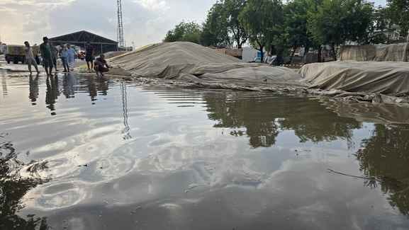Hailstorm in Samaspur Majra, rain in Jhajjar Mandi damaged millet and paddy crops, causing losses of Rs 3 crore.