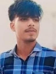 Two friends killed, one injured as speeding bike hits tree