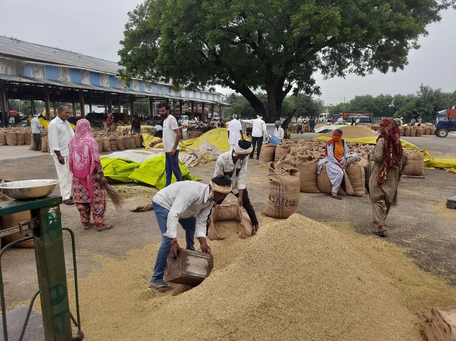 The market is filled with paddy, farmers are worried due to the changed weather.