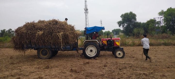 Weather favorable for mustard sowing