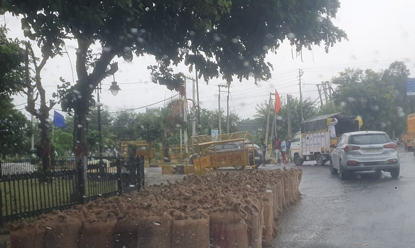 The crops brought to the grain market for sale got wet due to rain.