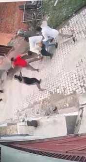 Grandmother and grandson injured in attack