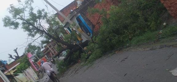 A tree fell due to the storm and water, several poles were broken, and electricity was cut off for three hours.