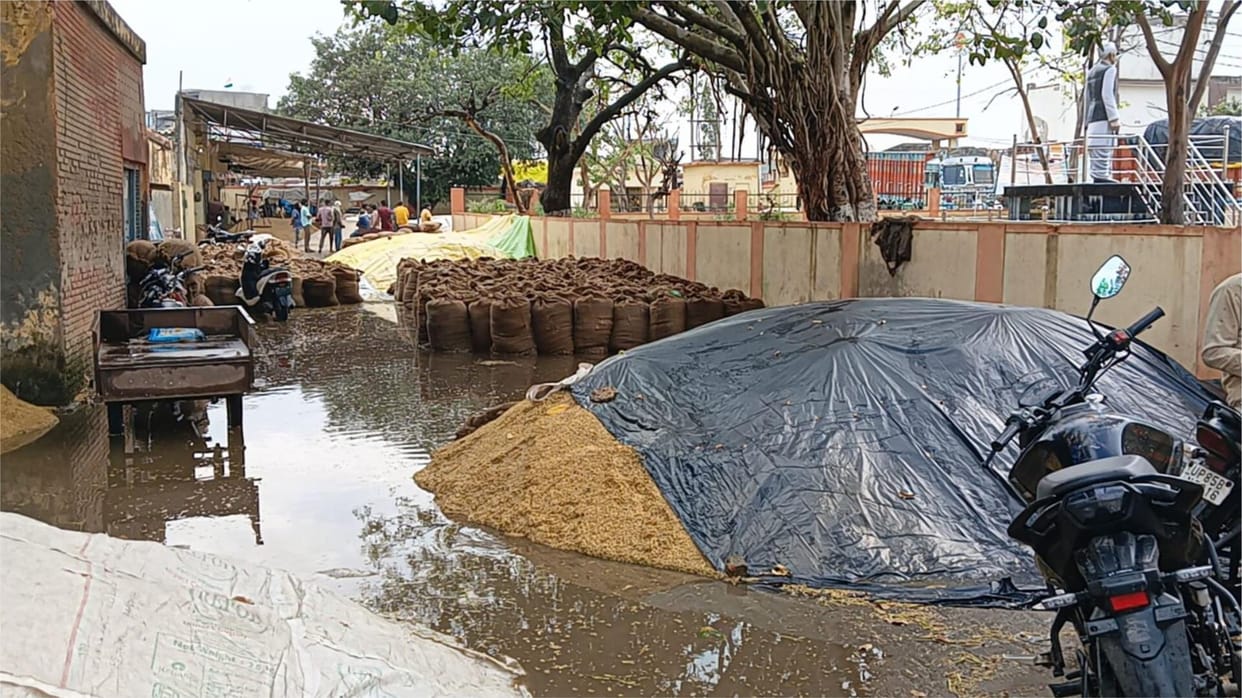 The farmers watched as their desires were drenched in the rain before their eyes