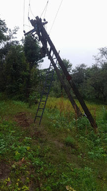 Trees fell on power lines, breaking 16 poles and disrupting 28 transformers.