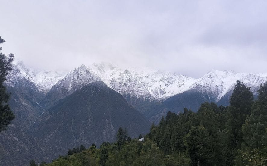 Snowfall on Kinnaur peaks, rain intensifies