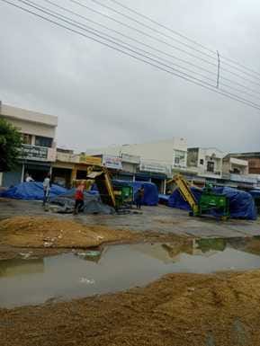 Paddy harvesting has been halted for two days due to rain, with rain and wind destroying crops in Barada.