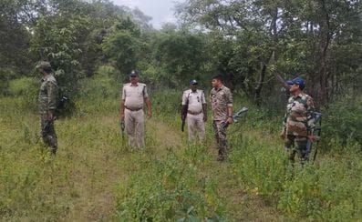 Police activated on the call of miscreants, search in the forest