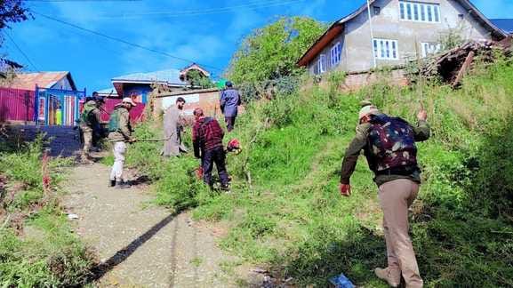Kulgam, Police Destroy, Crop of Marijuana