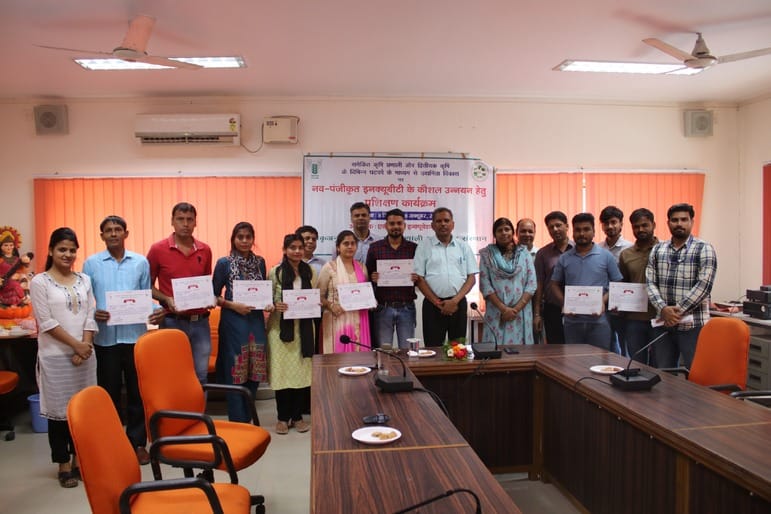 Organising career counselling sessions