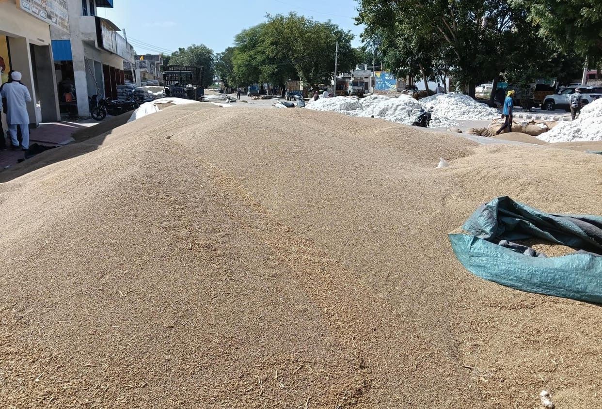 1 lakh quintal bajara reached in 3 mandi