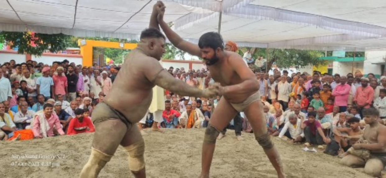 Tiger beats Guddu